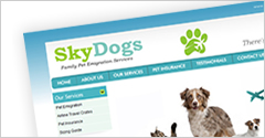 SkyDogs Web Design